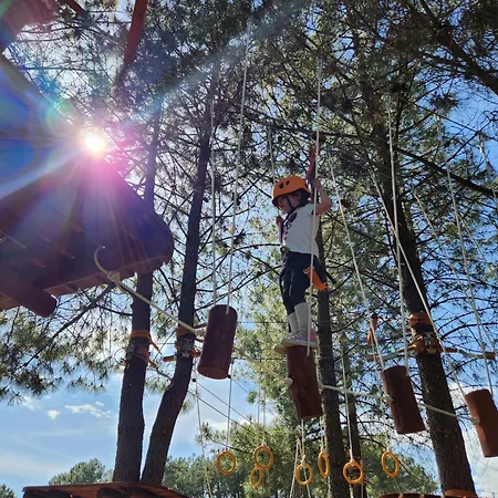 El Bosque De La Herrezuela