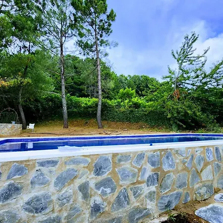 El Bosque De La Herrezuela Guisando